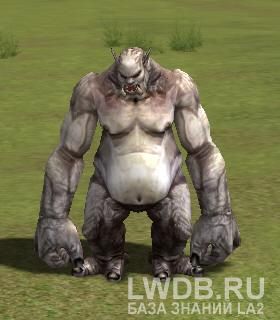    - Zaken's Butcher Krantz
