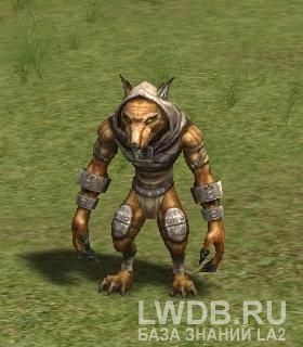    - Sukar Wererat Chief