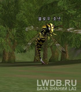   - Yellow Hornet
