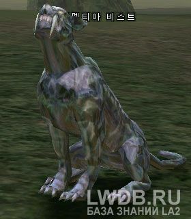   - Dementia Beast