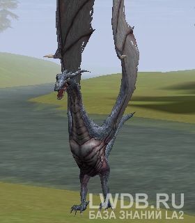   - Nakondas' Slave