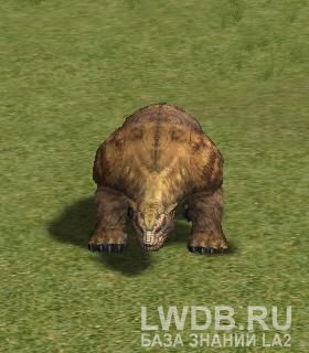    - Freki's Wild Bear
