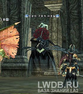    - Immortal Savior Mardil