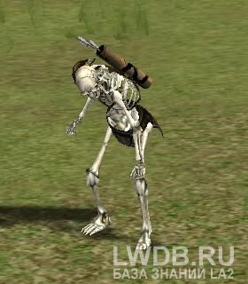   - Kabed's Archer
