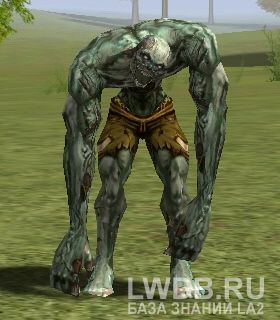 ���� ������ - Undead Priest