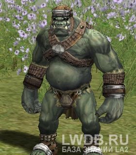 �������� - Calpico