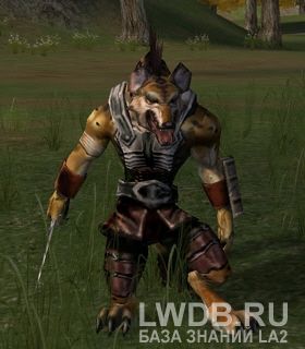 ������ ������� ���� - Cat's Eye Bandit