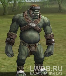 ������ ����� - Orc Escort