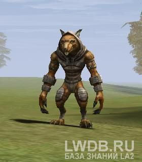 ������� ���������� ������ - Kuruka Ratman Leader