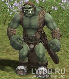  - Kracha
