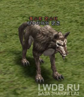 ������ ������ ������� - Tanukia's Warhound