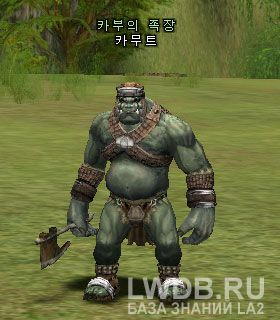 ����� - Kamut