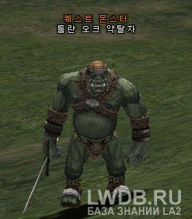 ������ ����� ������ - Tumran Orc Brigand