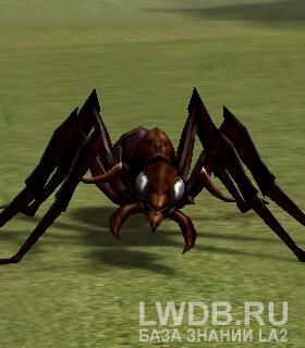   - Guard Ant