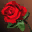 Знак Посетителя