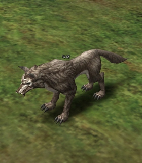 Скриншот Волк - Wolf Волк - Wolf