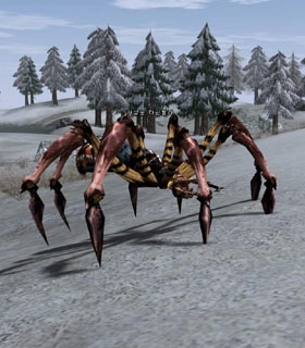 Скриншот Тарантул Охотник - Hunter Tarantula Тарантул Охотник - Hunter Tarantula