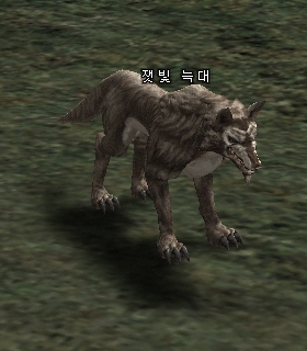 Скриншот Пепельный Волк - Ashen Wolf Пепельный Волк - Ashen Wolf